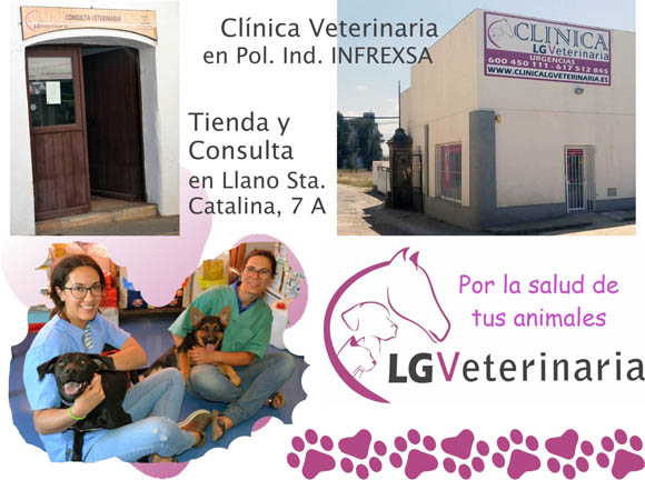 www.lgveterinaria.com-lg_veterinaria-clinica_veterinaria-veterinario-tienda_para_mascotas-veterinarios_en_fregenal_de_la_sierra-higuera_la_real-cumbres_mayores-encinasola-jerez_de_los_caballeros-bodonal_de_la_sierra-segura_de_leon-fuentes_de_leon-alimentacion_perros_y_gatos_arion_titanium-radiologia-ecografia_animal-analisis_clinicos-hospitalizacion-odontologia_equina-peluqueria_canina