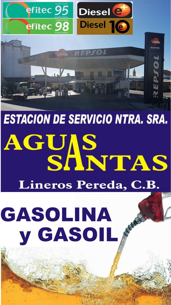 www.esaguassantas.es-estacion_de_servicio_ntra_sra_aguas_santas-gasolinera_en_jerez_de_los_caballeros-fregenal_de_la_sierra-higuera_la_real-barcarrota-oliva_de_la_frontera-lavado_de_coches-gasoil_en_jerez-butano_en_jerez-jerez_de_los_caballeros-gasolinera-repsol-gasolineras-lavado_de_coche-gasolinera_badajoz-lineros_pereda